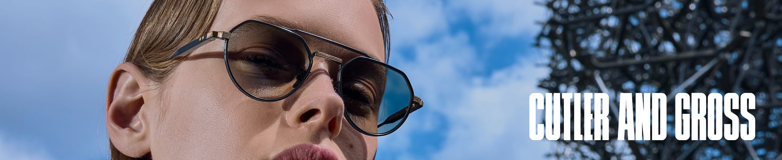 Banner image