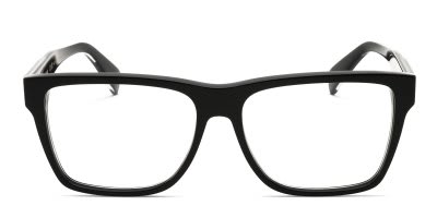 Ferragamo SF2953N