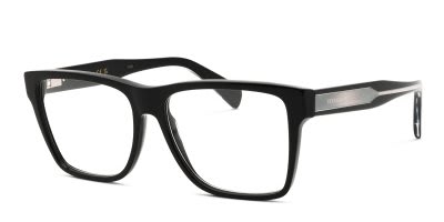 Ferragamo SF2953N