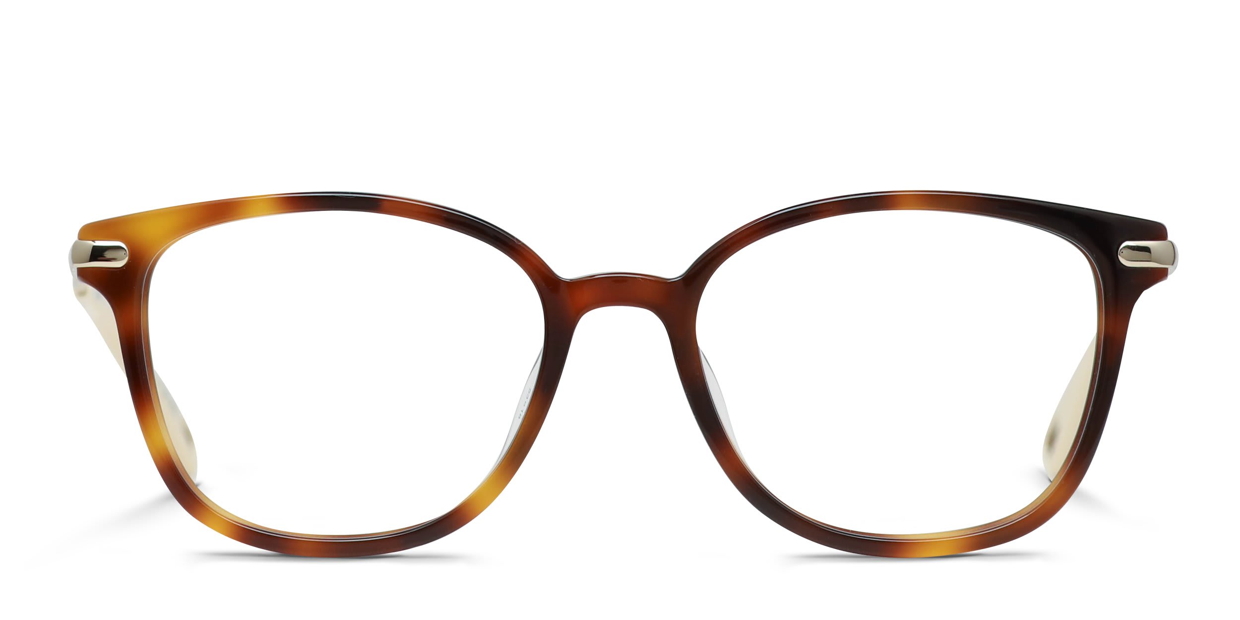 Chloe CH0219OA Tortoise glasses - Tortoise - Frontal View