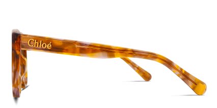 Chloe CH0241O Tortoise glasses - Tortoise - Side View