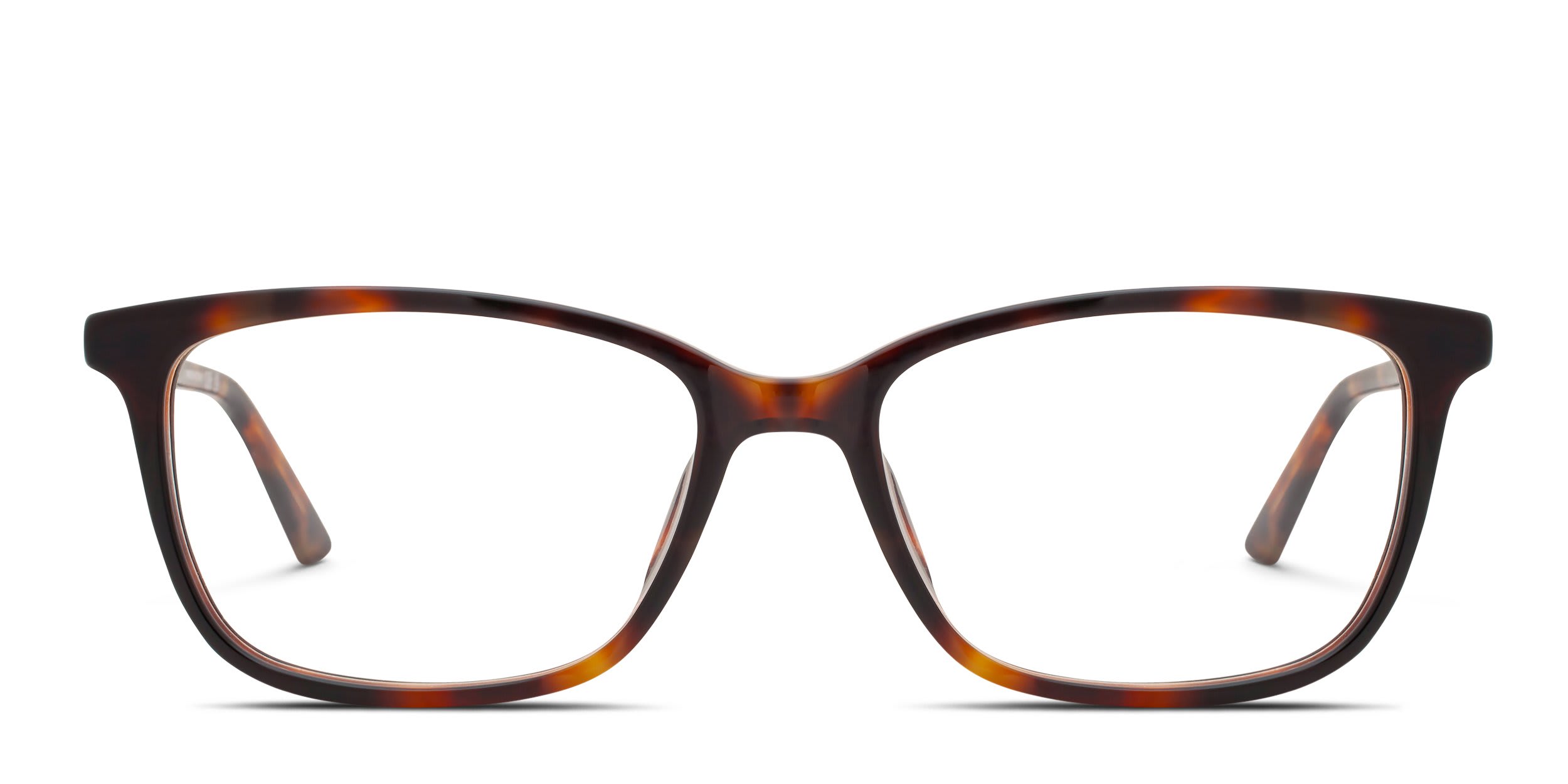 Chloe CH0371OA Tortoise glasses - Tortoise - Frontal View