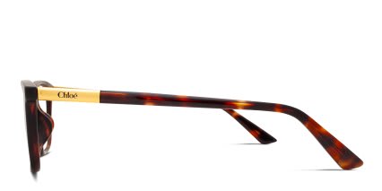 Chloe CH0371OA Tortoise glasses - Tortoise - Side View