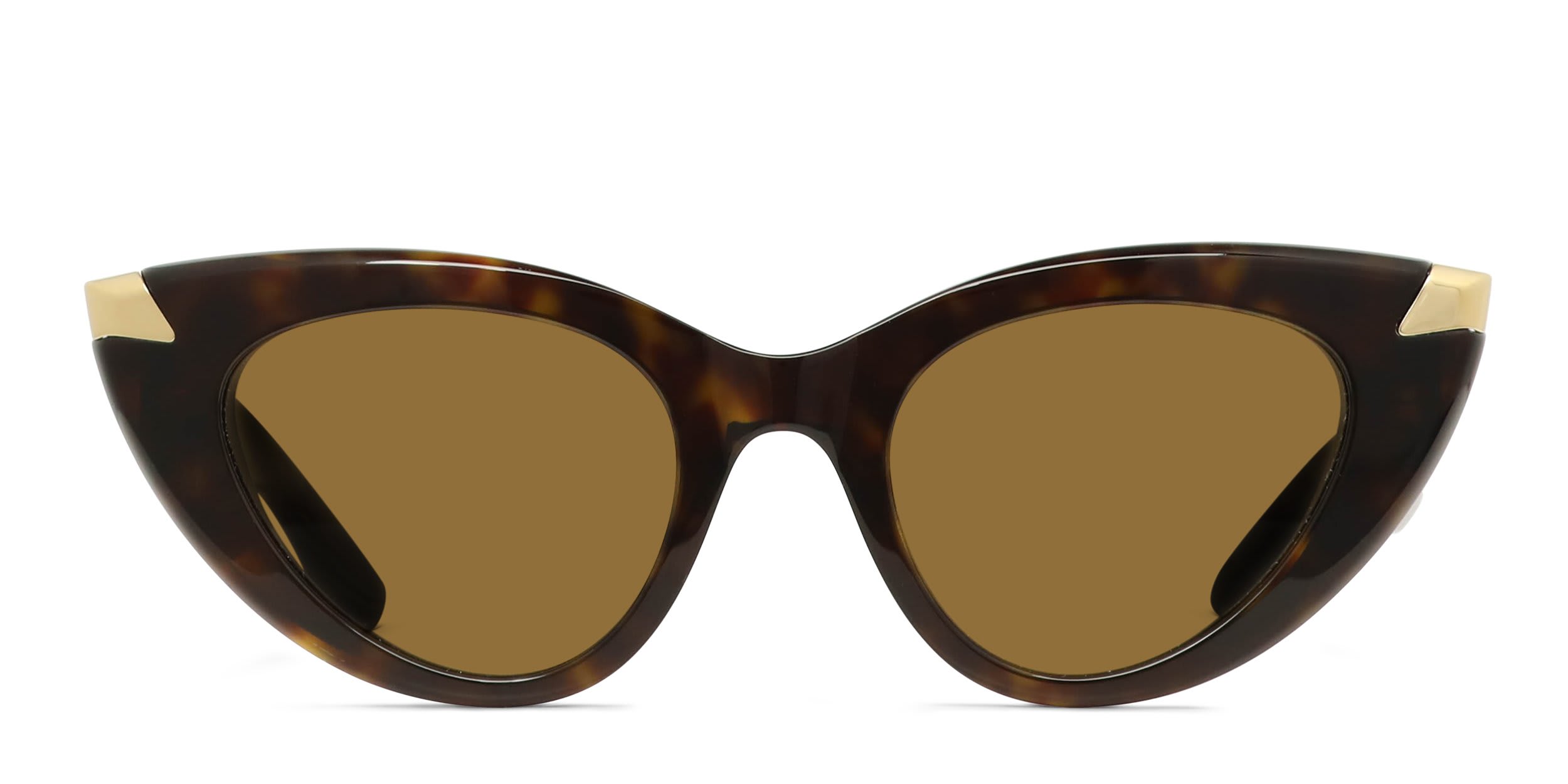 Alexander McQueen AM0442S Tortoise glasses - Tortoise - Frontal View