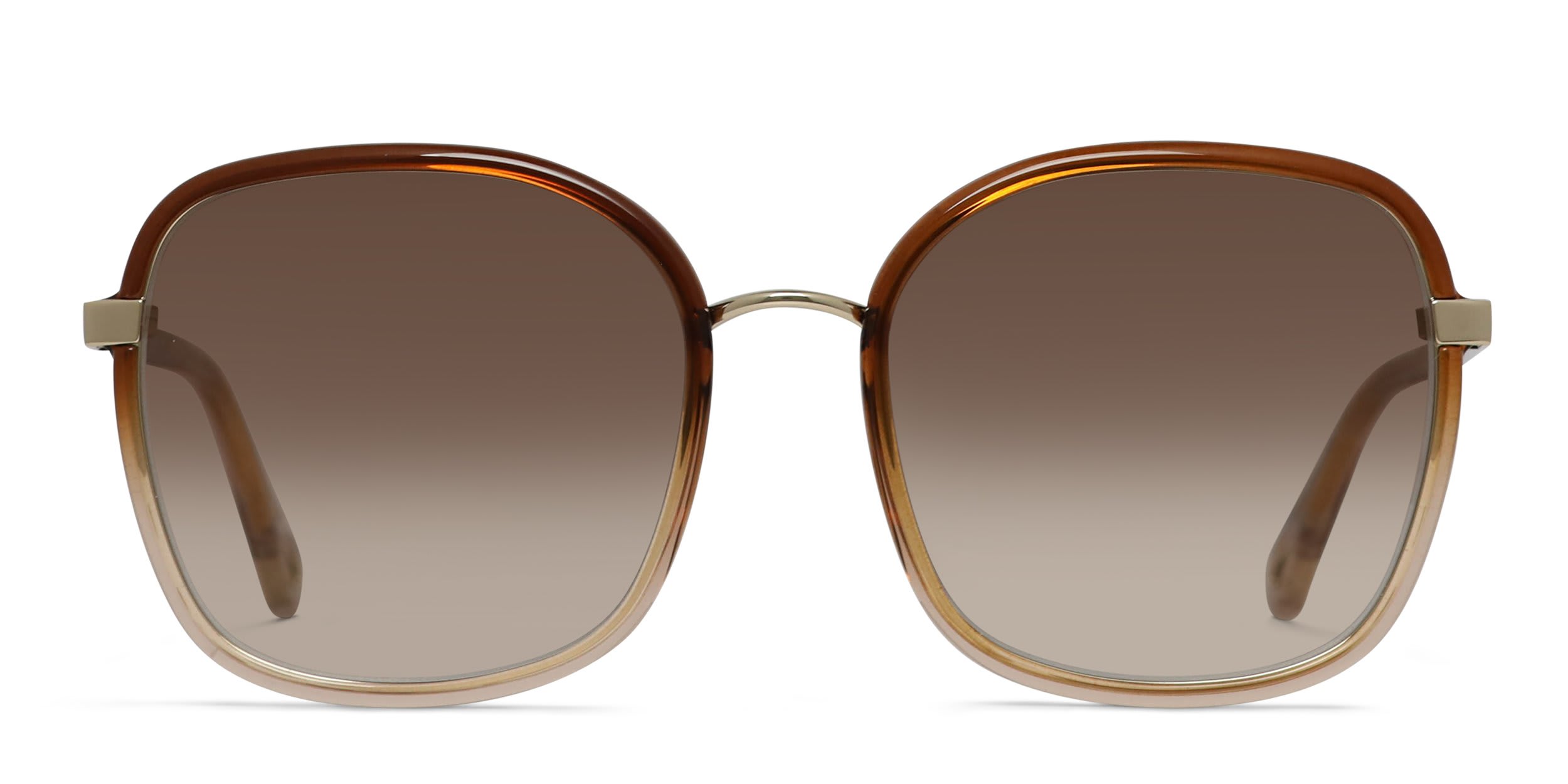 Chloe CH0031S Brown, Gold glasses - Brown / Gold - Frontal View