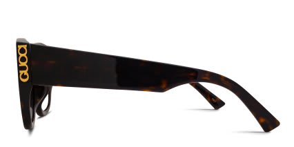 Gucci GG2043SA Tortoise, Brown glasses - Tortoise / Brown - Side View