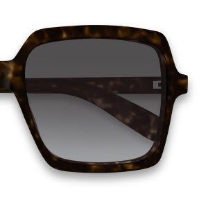 frame