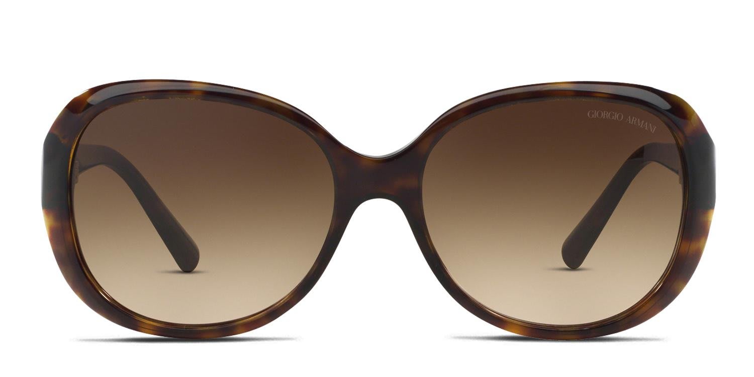 Giorgio Armani AR8047 Tortoise glasses - Tortoise - Frontal View