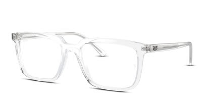 Ray-Ban RX7239 Alain