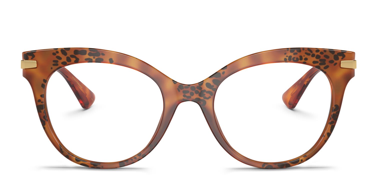 Dolce & Gabbana DG3392 Tortoise glasses - Tortoise - Frontal View