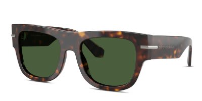 Dolce & Gabbana DG4484