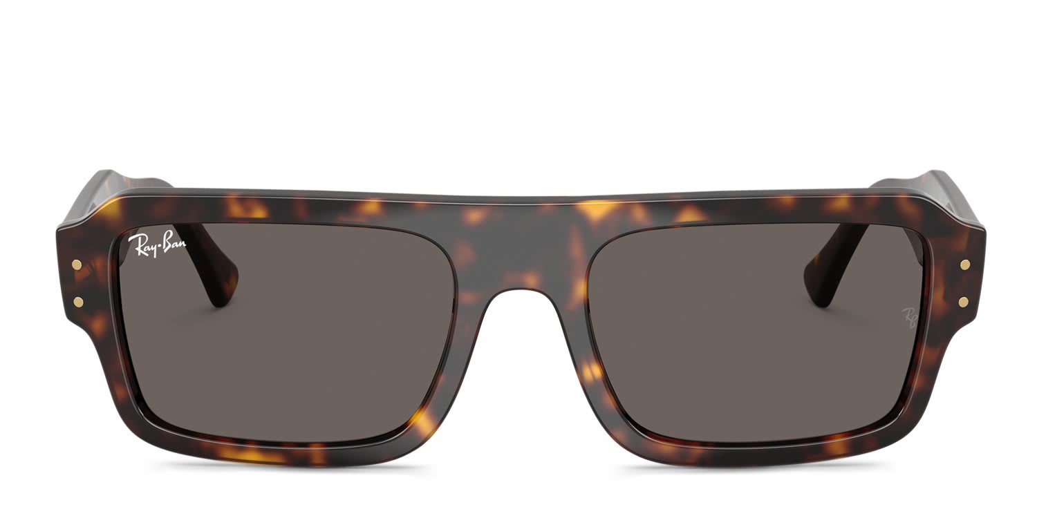 Ray-Ban RB4454 Lukas Tortoise, Gray glasses - Tortoise / Gray - Frontal View