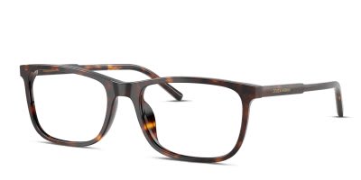 Dolce & Gabbana DG3427
