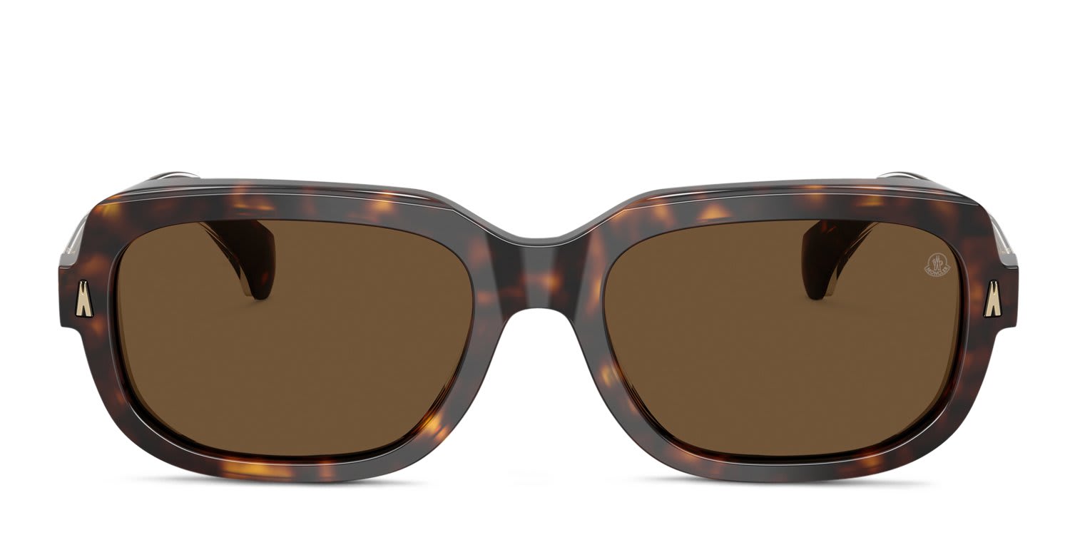 Moncler ME6008 Suntrap Tortoise, Brown glasses - Tortoise / Brown - Frontal View