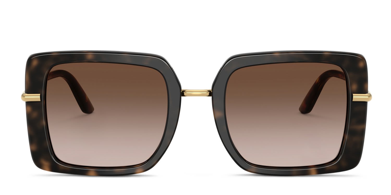 Dolce & Gabbana DG4491 Tortoise, White, Brown glasses - Brown / Tortoise - Frontal View