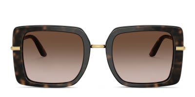Dolce & Gabbana DG4491
