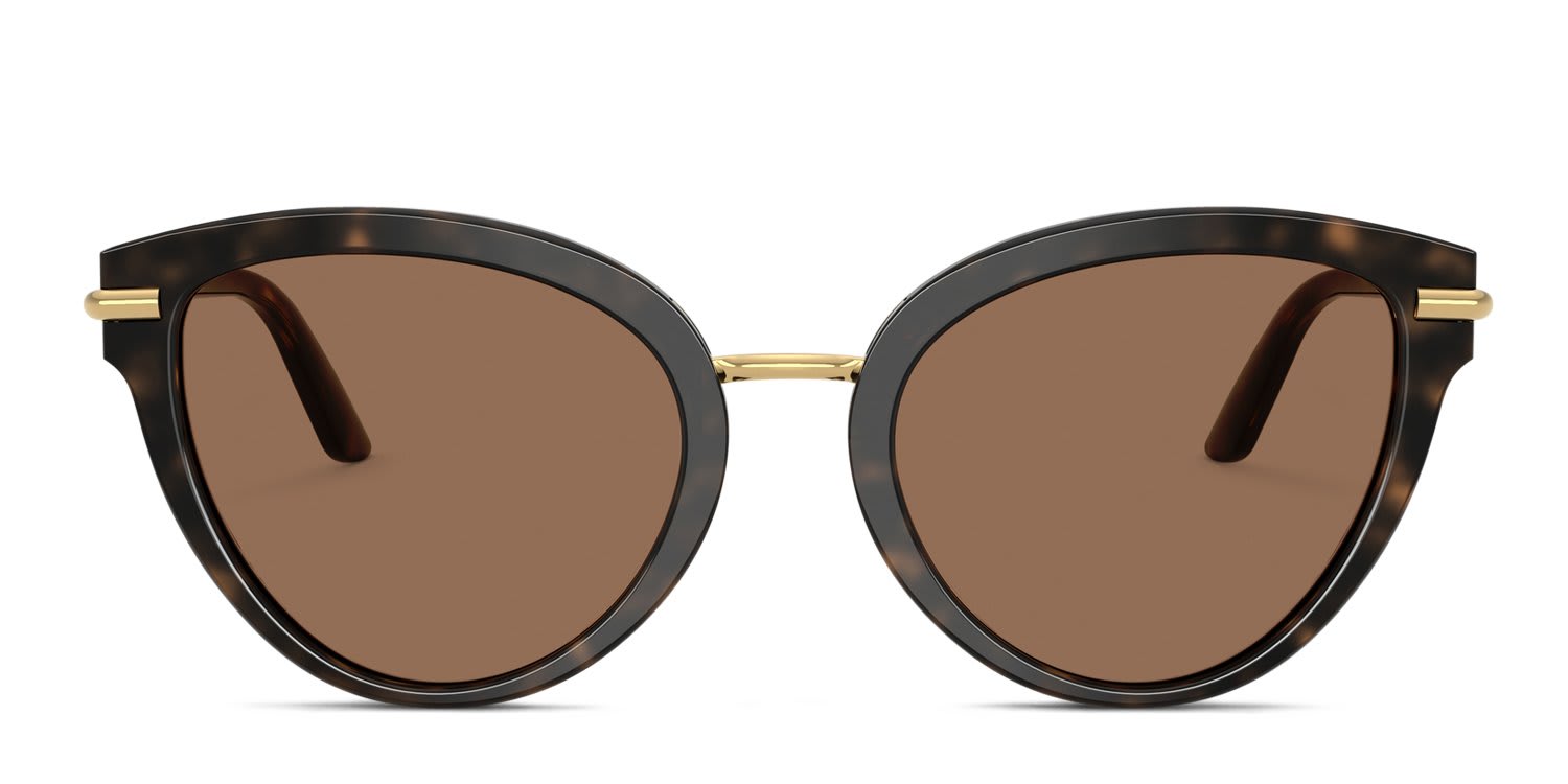 Dolce & Gabbana DG4492 Tortoise, White, Brown glasses - Brown / Tortoise - Frontal View