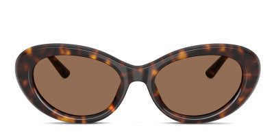 Dolce & Gabbana DG4519