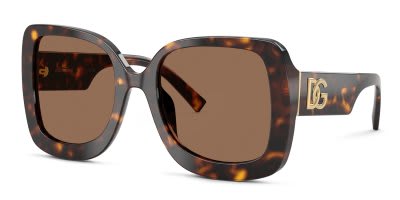 Dolce & Gabbana DG4513