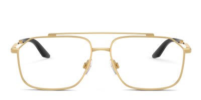 Dolce & Gabbana DG1364