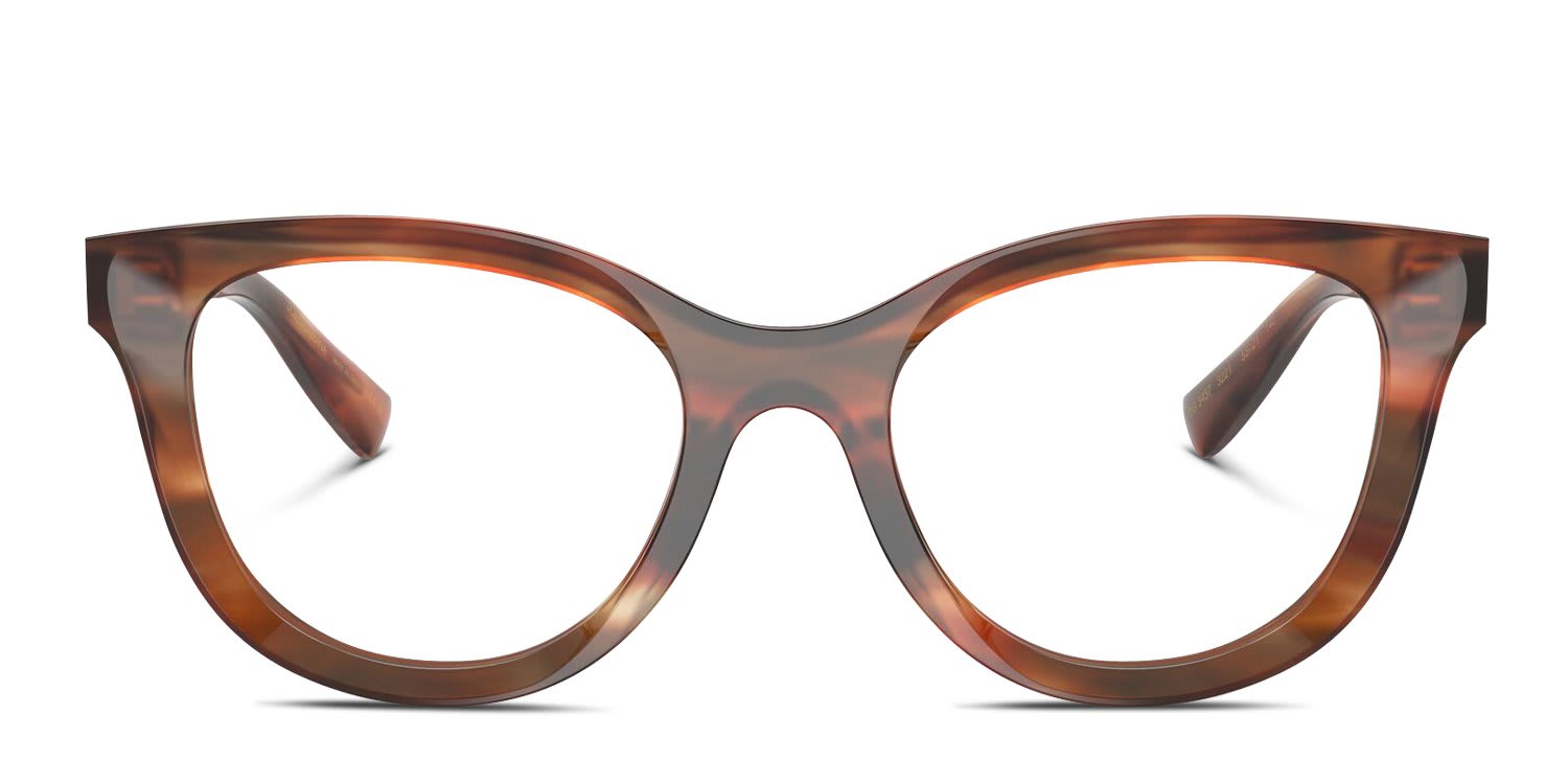 Dolce & Gabbana DG3437 Multicolor, Brown glasses - Multicolor / Brown - Frontal View