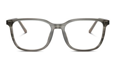 Dolce & Gabbana DG3445