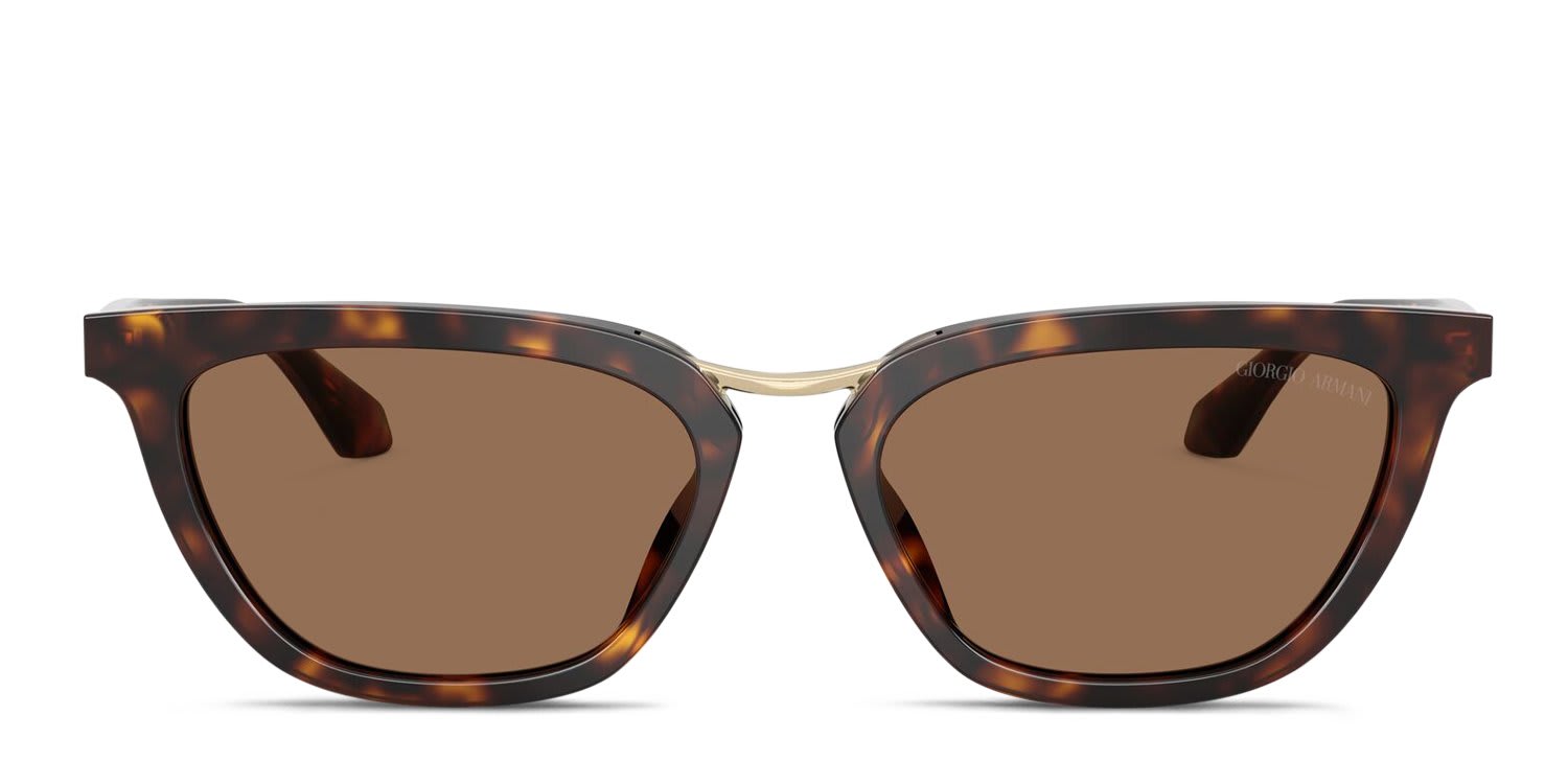 Giorgio Armani AR8253U Tortoise, Brown glasses - Tortoise / Brown - Frontal View