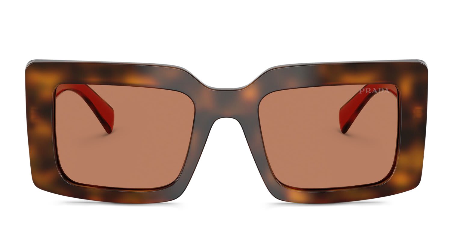 Prada PRD01S Tortoise, Brown glasses - Tortoise / Brown - Frontal View