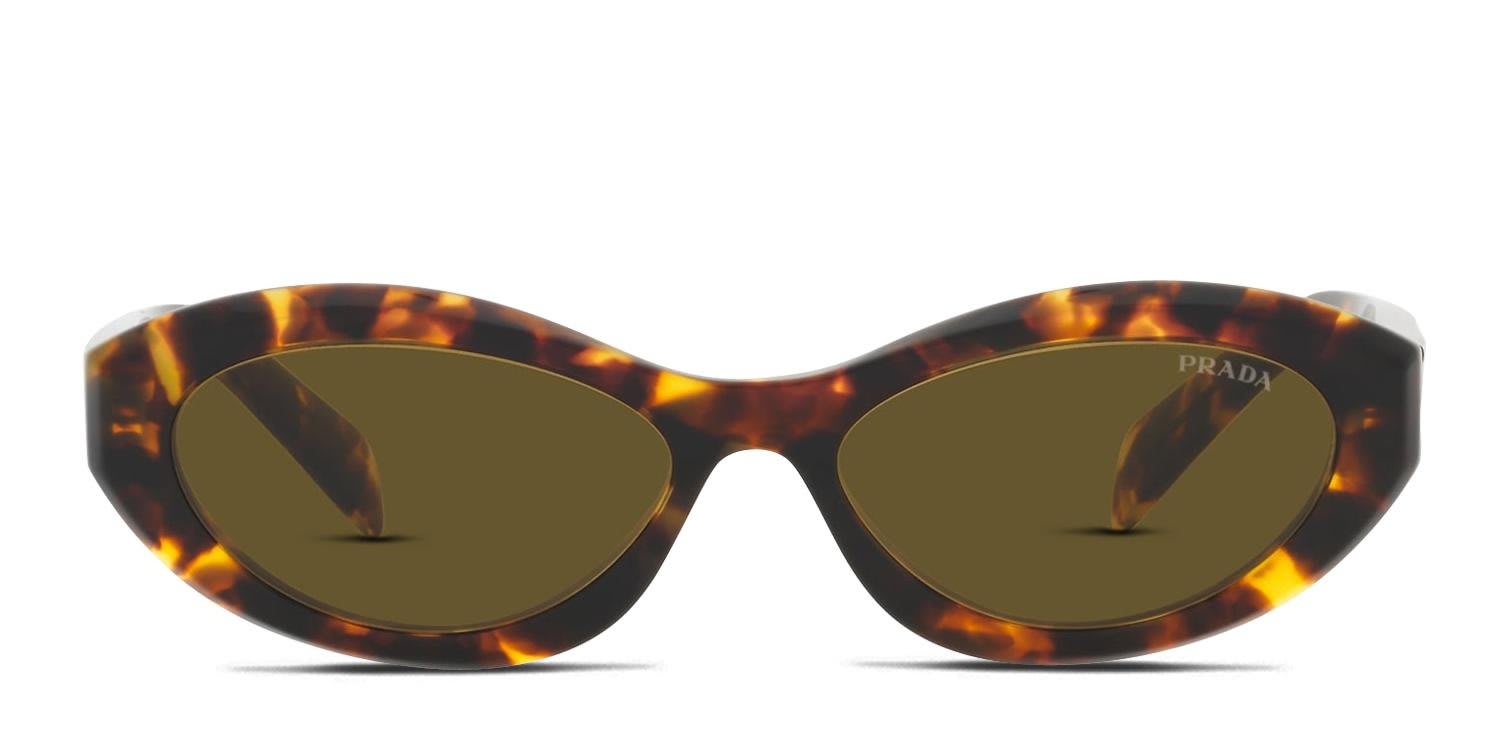 Prada PR26ZS Tortoise glasses - Tortoise - Frontal View