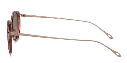 Giorgio Armani AR6148T Tortoise, Bronze glasses - Tortoise / Bronze - Side View