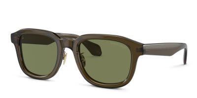 Giorgio Armani AR8206