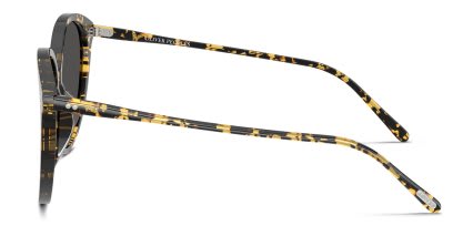 Oliver Peoples OV5605SU Soleau Blue, Tortoise, Gray glasses - Blue / Tortoise / Gray - Side View