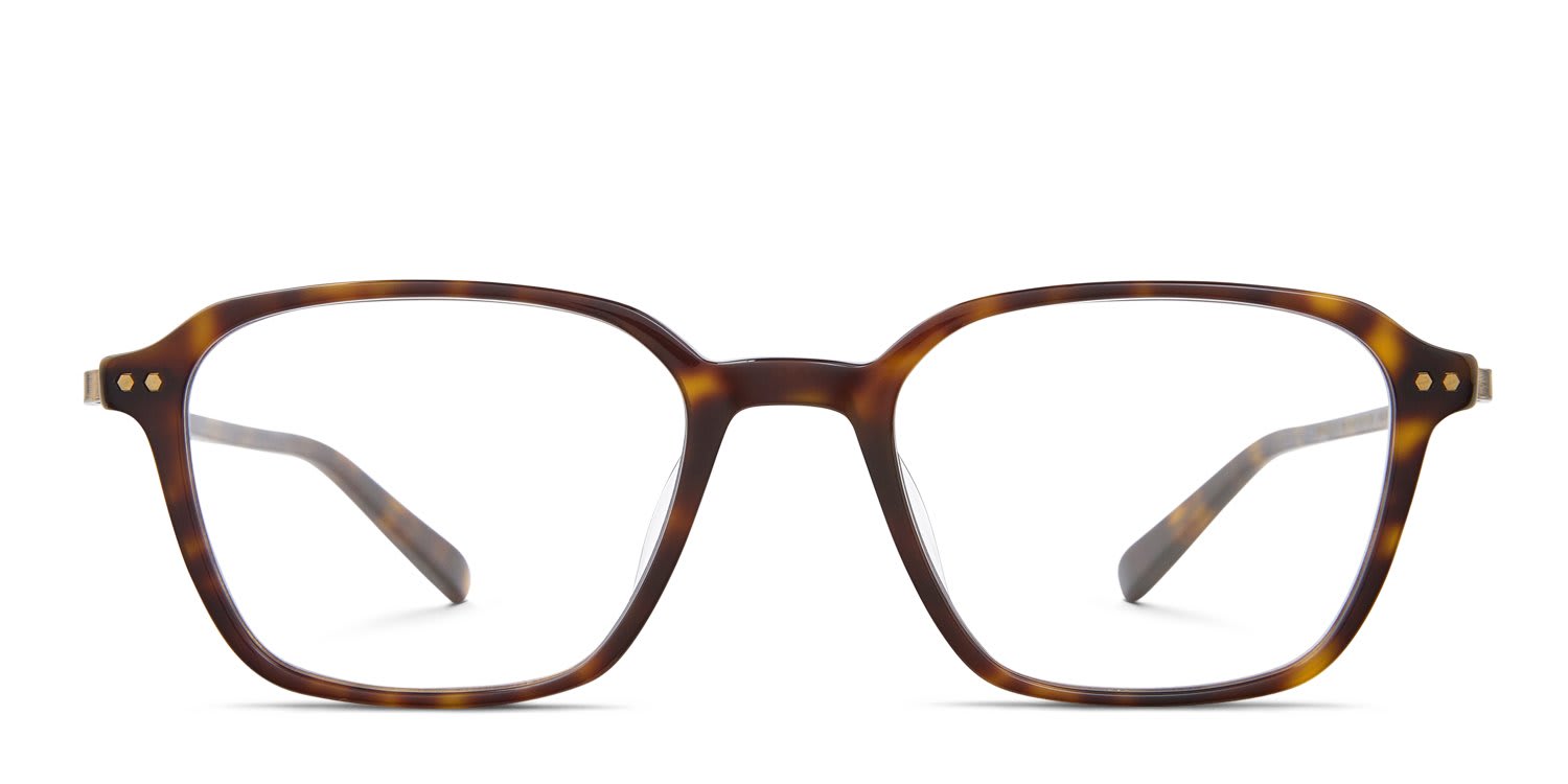 Mr. Leight Gideon C Tortoise glasses - Tortoise - Frontal View