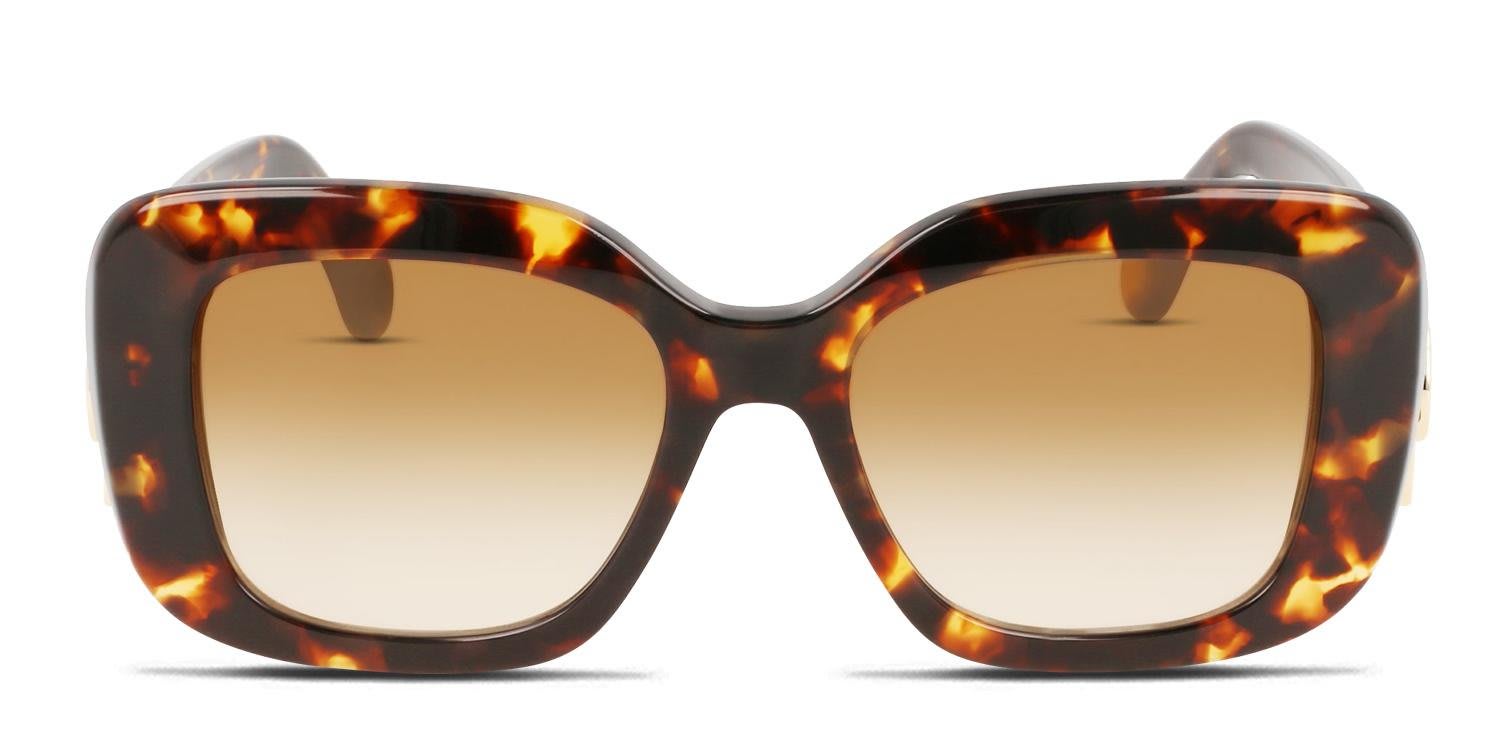 Lanvin LNV626S Tortoise glasses - Tortoise - Frontal View