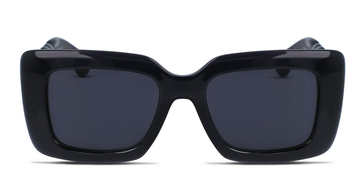 Lanvin LNV642S Gray glasses - Gray - Frontal View