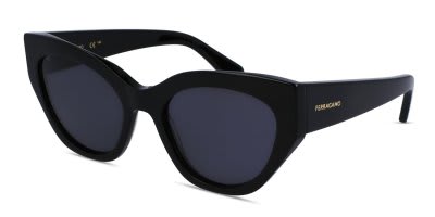 Ferragamo SF1107S