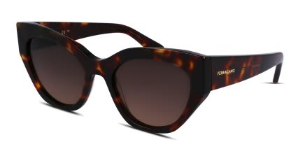 Ferragamo SF1107S Tortoise glasses - Tortoise - Angle View