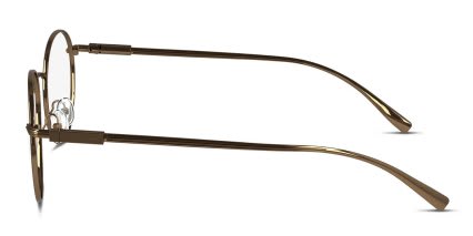 Ferragamo SF2229 Gold, Brown glasses - Gold / Brown - Side View