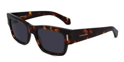 Ferragamo SF2011S Brown, Tortoise glasses - Brown / Tortoise - Angle View