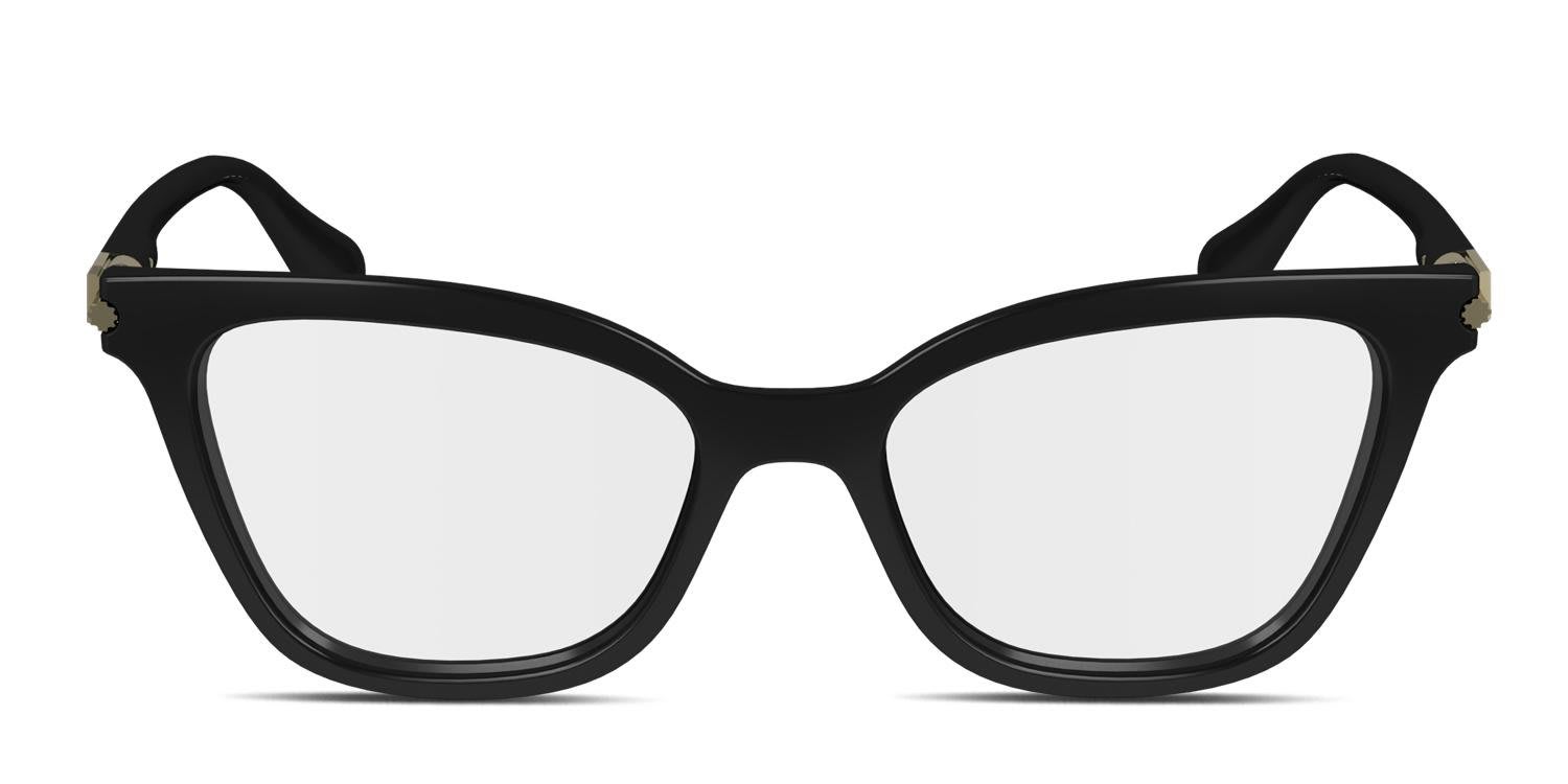 Ferragamo SF2991 Black glasses - Black - Frontal View