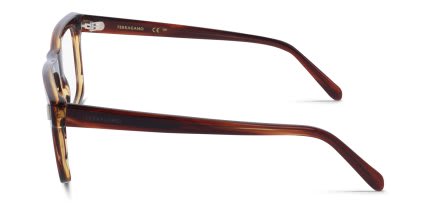 Ferragamo SF3029 Brown glasses - Brown - Side View