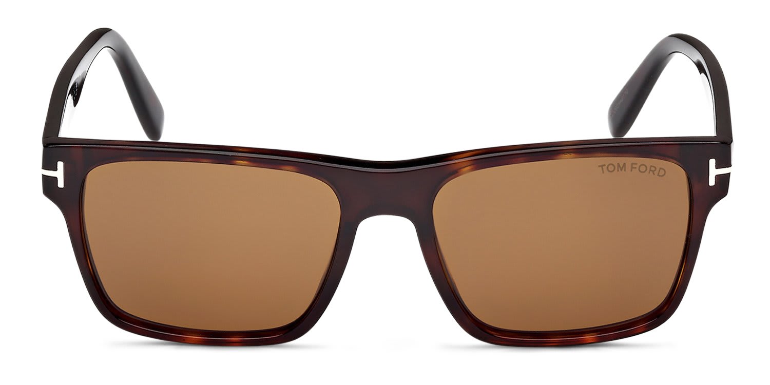 Tom Ford TF1205 Calder Tortoise, Brown glasses - Tortoise / Brown - Frontal View