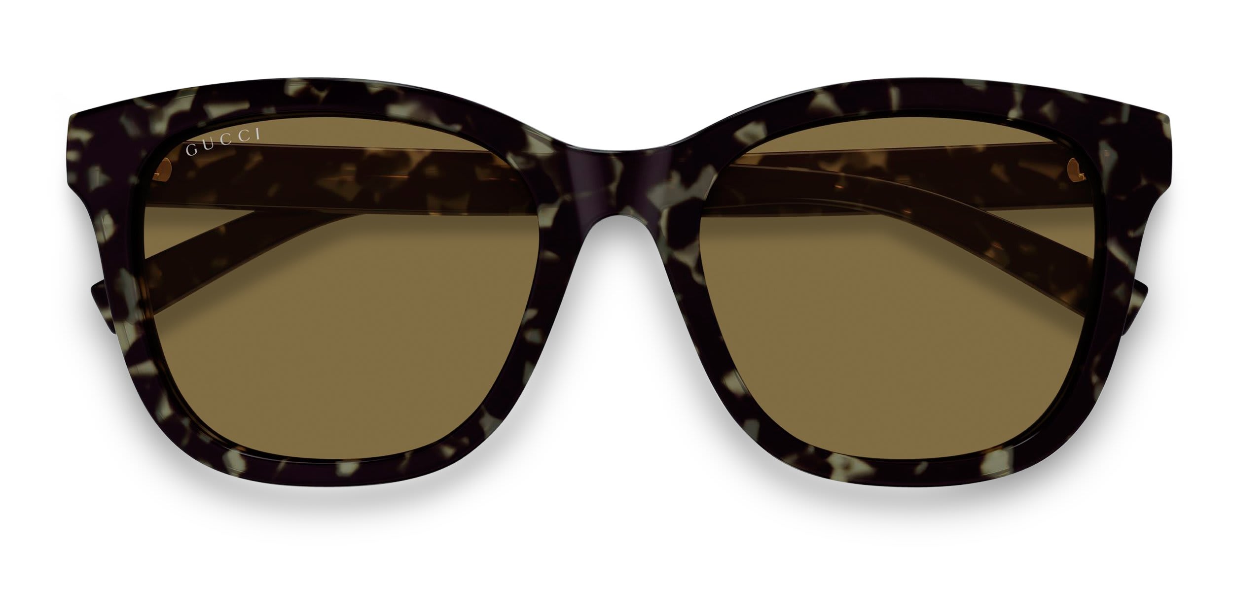 Gucci GG1984SK Tortoise, Brown glasses - Tortoise / Brown - Frontal View