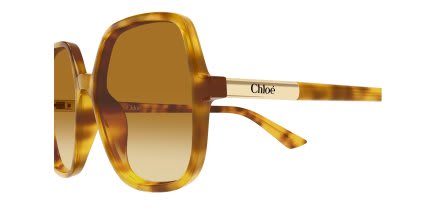Chloe CH0362S Tortoise, Brown glasses - Tortoise / Brown - Side View