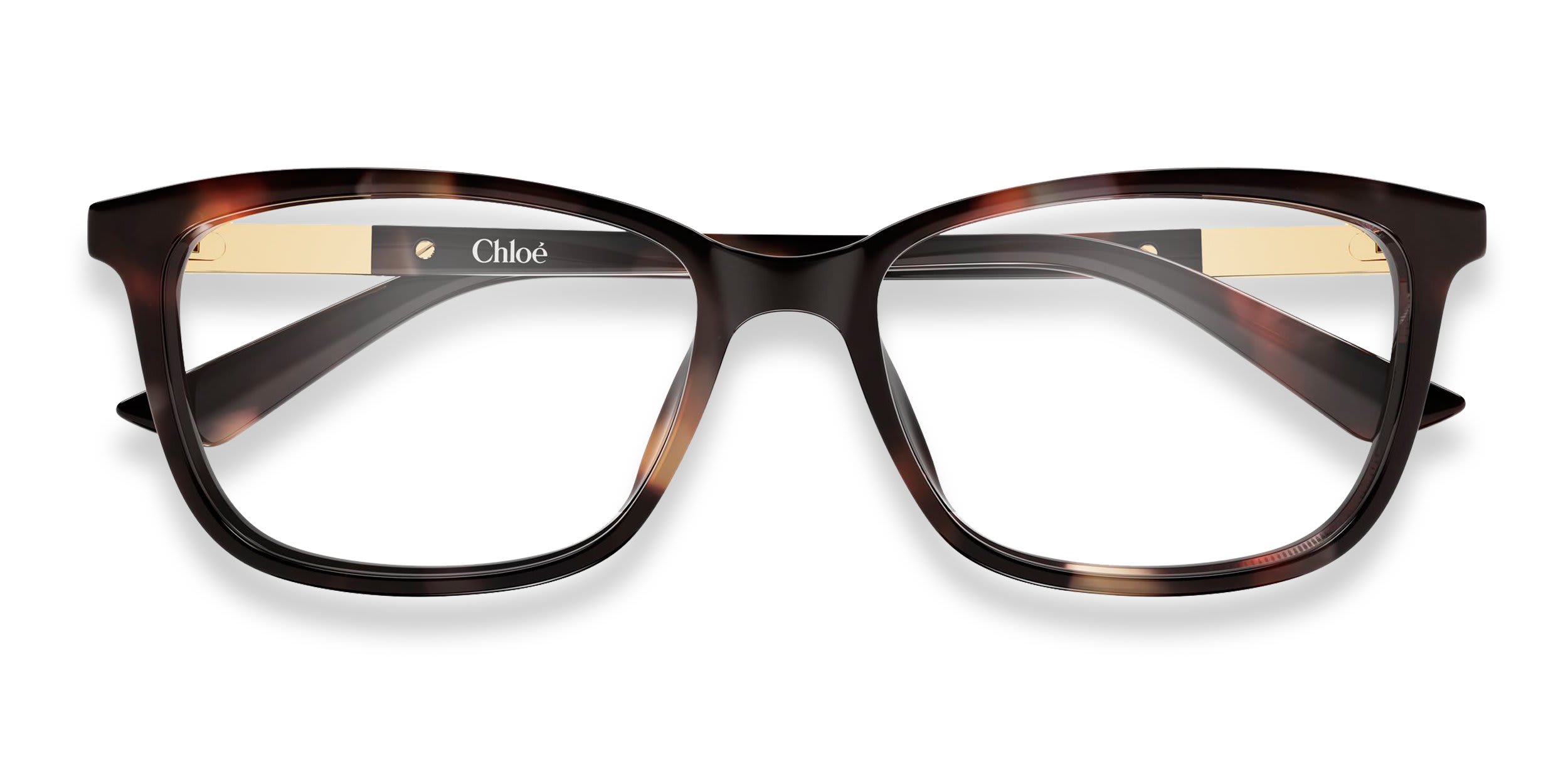 Chloe CH0371OA Tortoise glasses - Tortoise - Frontal View