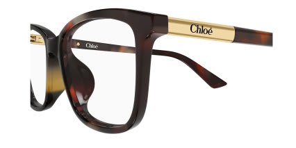Chloe CH0371OA Tortoise glasses - Tortoise - Side View
