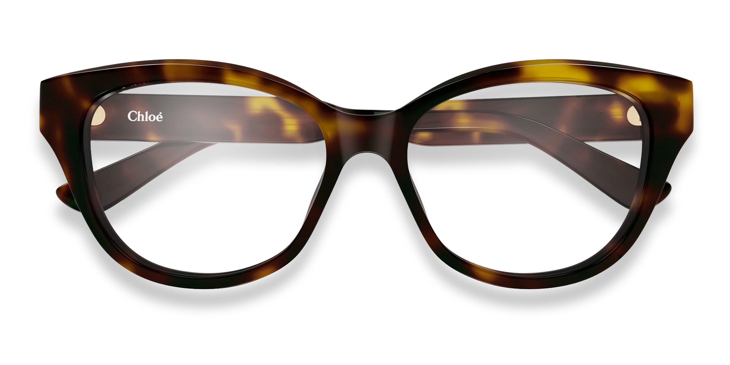 Chloe CH0381OL Tortoise glasses - Tortoise - Frontal View