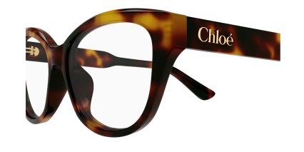 Chloe CH0381OL Tortoise glasses - Tortoise - Side View