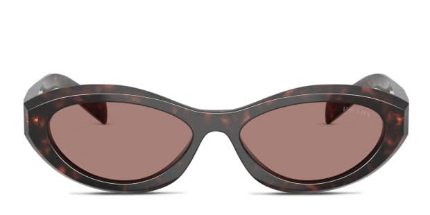 Prada Brown Tortoise Sunglasses PR26ZS Prada PR 26ZS M (55 - 16) with Brown lenses and Tortoise  main image 4